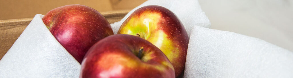Three apples wrapped in foam pouches for protection.